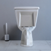 Two-piece Compact Elongated Toilet