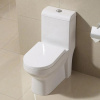 UPC 300 400mm Roughing In 1 Piece Dual Flush Toilet Bowl Self Cleaning Glaze