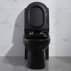 Modern black water saving toilets for sale