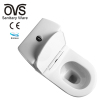 Chinese Suppliers Ceramic P Trap Ceramic Standard Two Piece Toilet for Bathroom