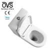 Wc Toilet Bowl With Bidet Gravity Flushing Ceramic Bathroom 2 Piece Toilet Set