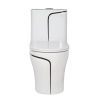 OEM Luxury Sanitary Ware Dual Flush Black Line One Piece Elongated Toilet